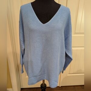 Premise Light Blue V-Neck Sweater